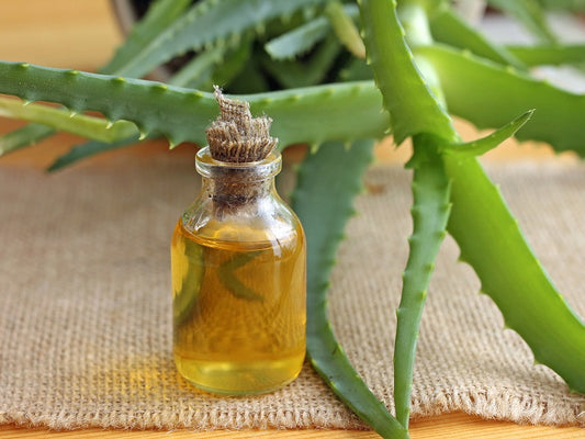 Aloe Vera Oil