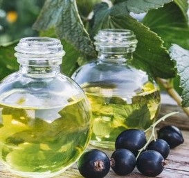 Black Currant Oil