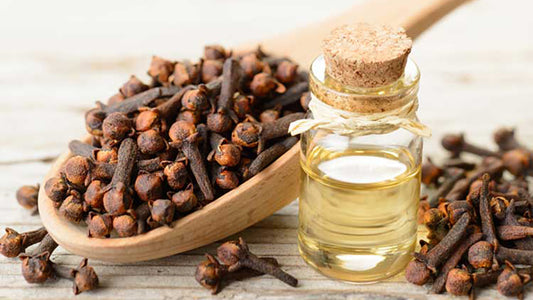 Clove Bud Oil
