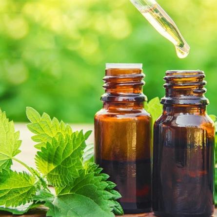 Nettle Essential Oil