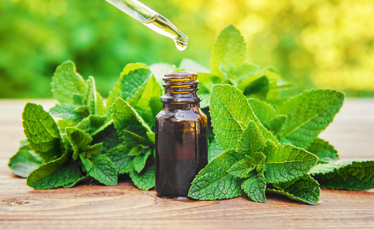 Peppermint Essential Oil