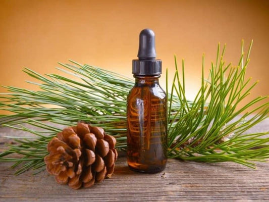 Pine Essential Oil