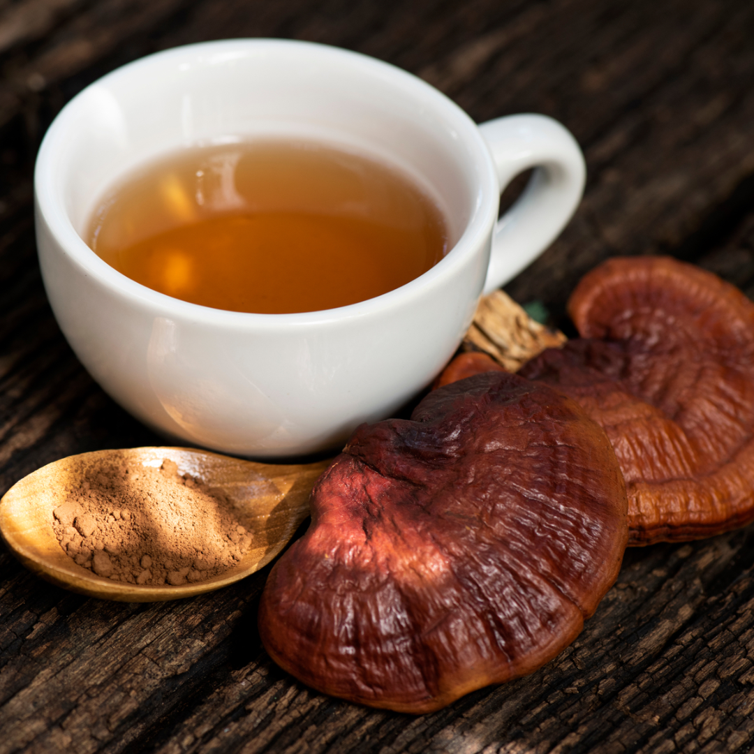Reishi Green Tea