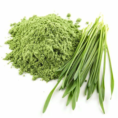 Barley Grass Powder