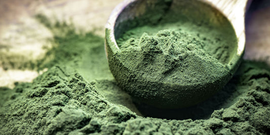 Chlorella Powder