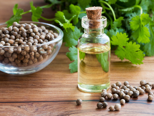 Coriander Seed Essential Oil