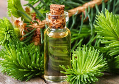 Cypress Essential Oil