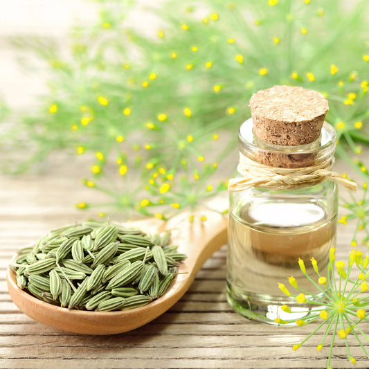 Fennel Seed Essential Oil