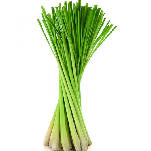 Lemongrass Essential Oil
