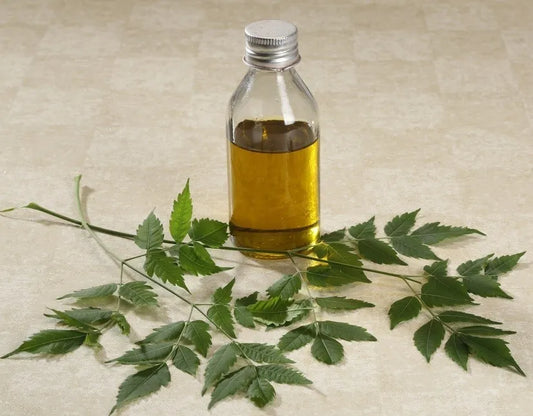 Neem Essential Oil