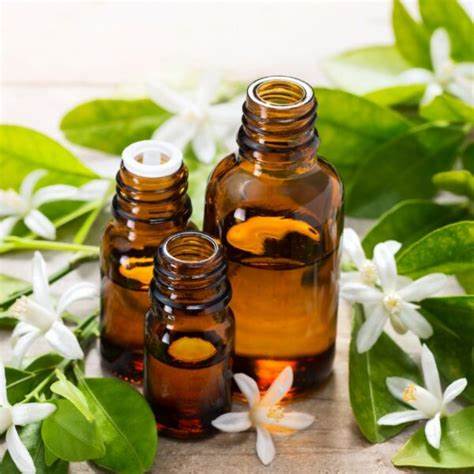Neroli Essential Oil