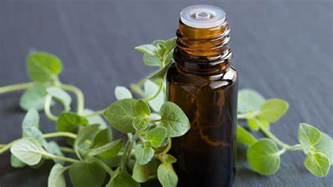Oregano Essential Oil