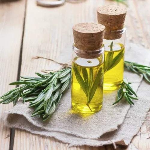 Rosemary Oil