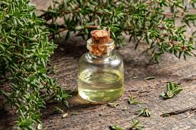 Thyme Essential Oil