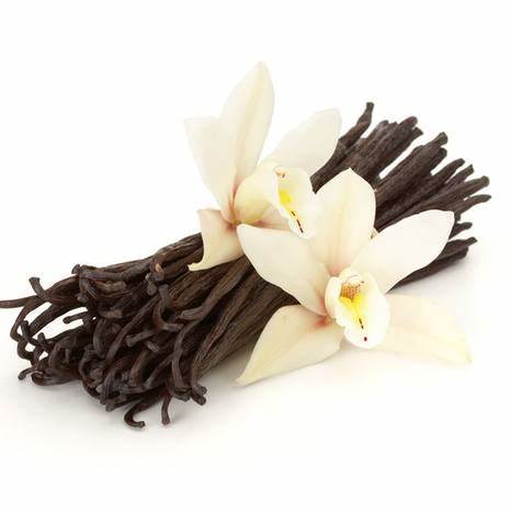 Vanilla Essential Oil