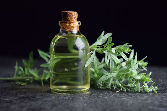 Wormwood Essential Oil