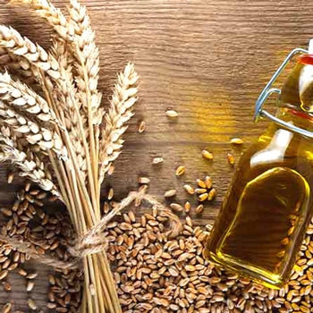 Wheat Germ Oil