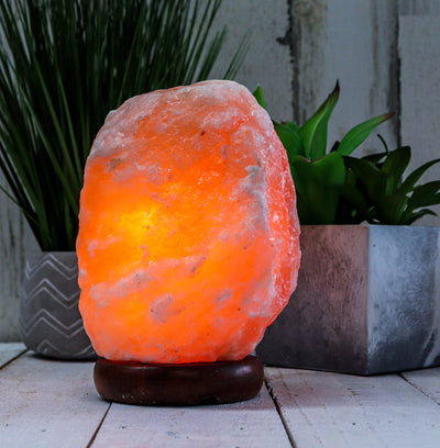 Himalayan Lamps