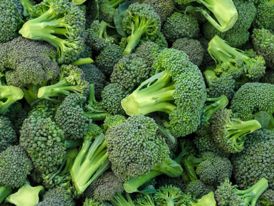 Broccoli Extract Powder