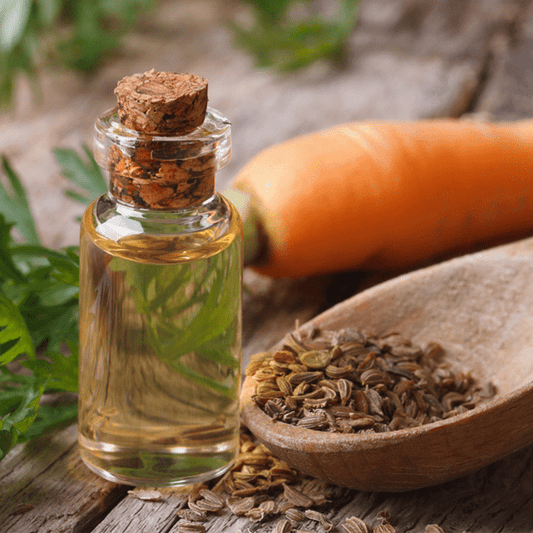 Carrot Seed Oil