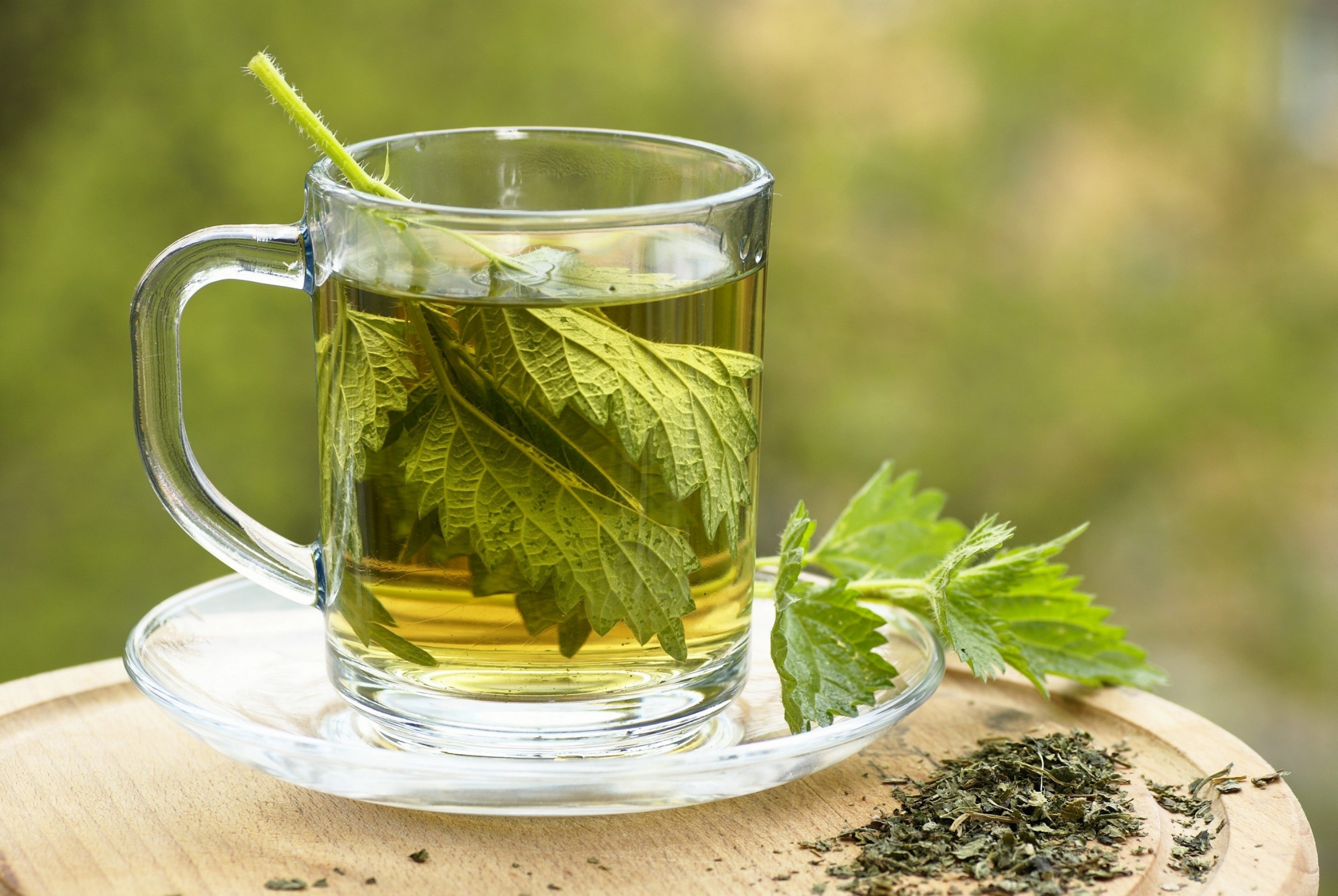 Nrlen Tea Nettle Tea – Herbaty