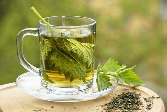 Nettle Tea
