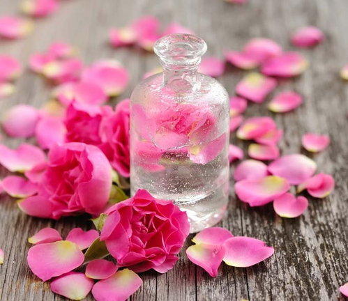 Pink Geranium Essential Oil
