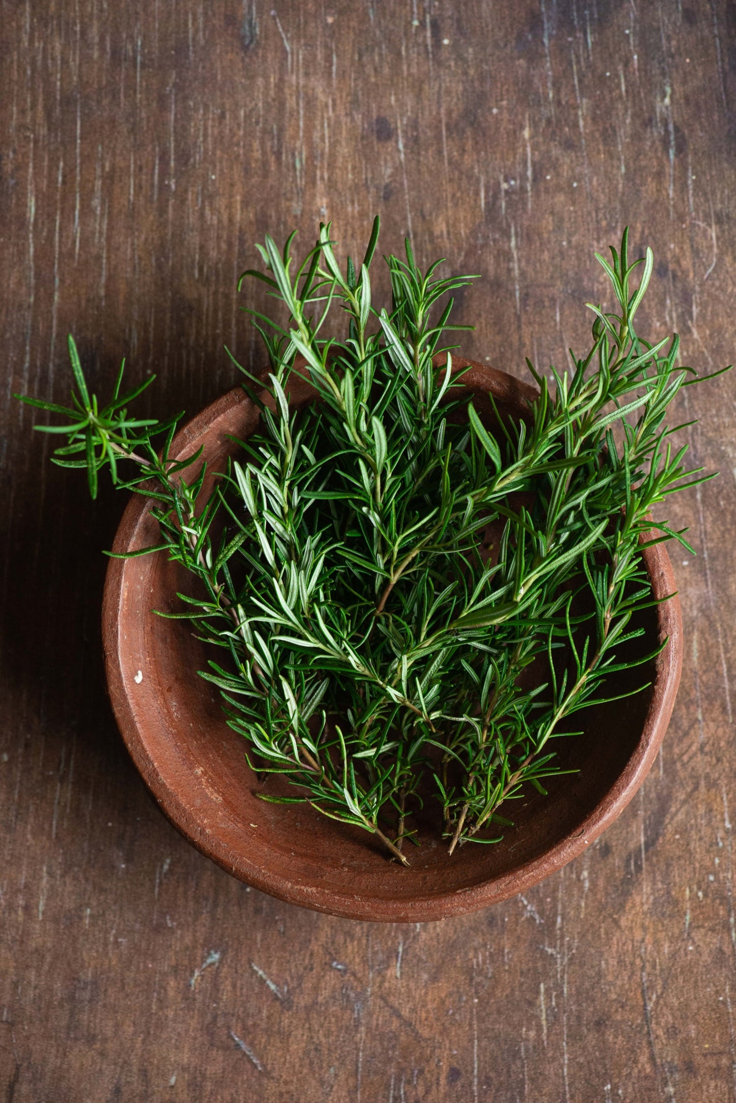 Rosemary Essential Oil from Herbaty Organics