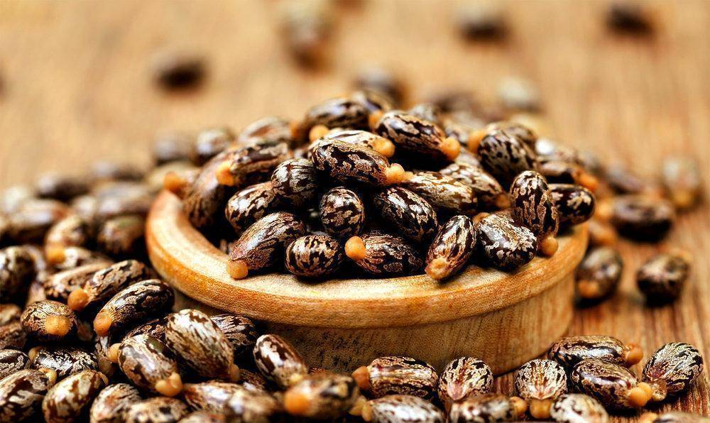 Black Jamaican Castor Oil from Herbaty Organics