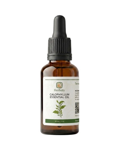 Calophyllum Essential Oil