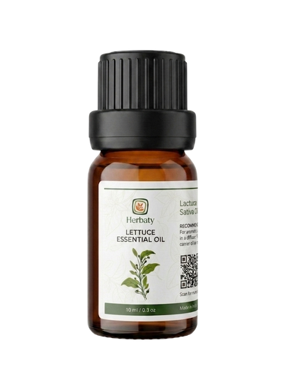 Lettuce Essential Oil